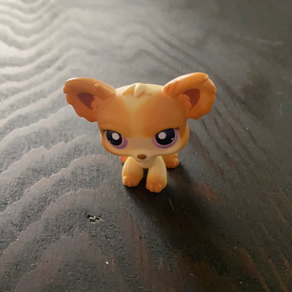 littlest pet shop chihuahua #96